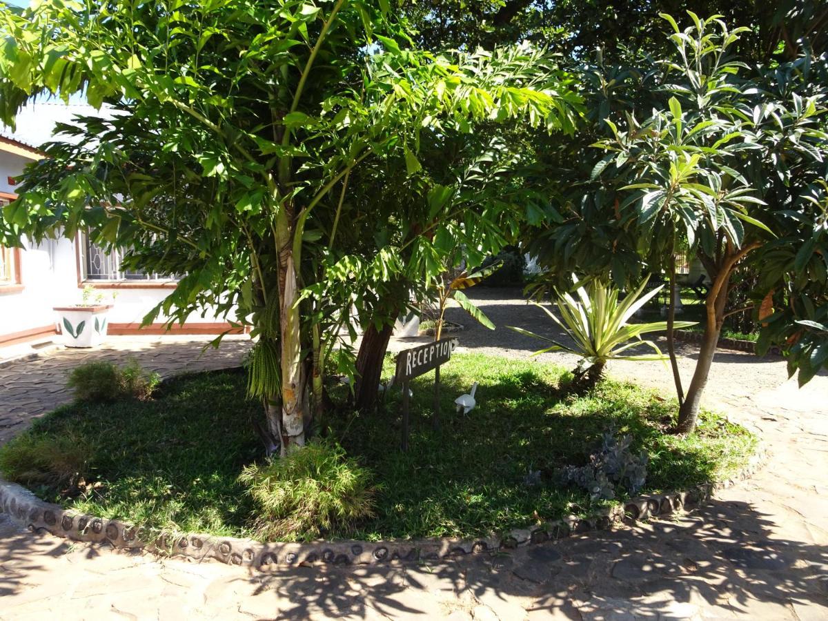 White Rose Lodge Ливингстон Экстерьер фото